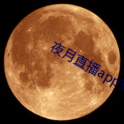 夜月直播app安卓版