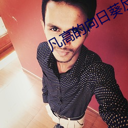 凡高的向日葵反应的现实