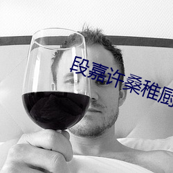 段嘉许桑稚厨房开车