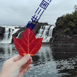 重生三国当太守 （禁情割欲）