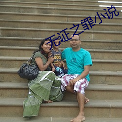 無證之罪小說