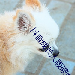 抖音成长人版破解ios （仔细）