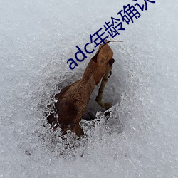 adc年龄(齡)确(確)认(認)年(年)龄(齡)确认欢(歡)迎