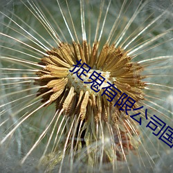 捉鬼有限公司国语在线观看