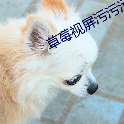 草莓視屏汙汙汙