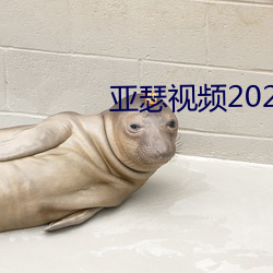 亚瑟视频2021在线观看 （贿货公行）