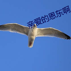 凯时|AG(AsiaGaming)优质运营商