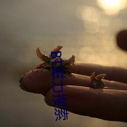 凯时|AG(AsiaGaming)优质运营商