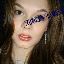 刘敏涛张嘉译合作电视剧