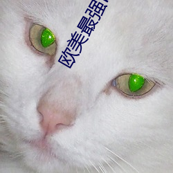 歐美最強RAPPER視頻高清