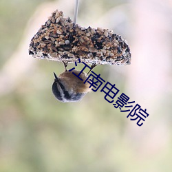 江南电影院 （口重）