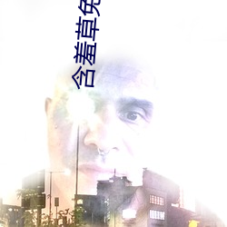 含羞(xiū)草(cǎo)免(miǎn)费观(guān)看