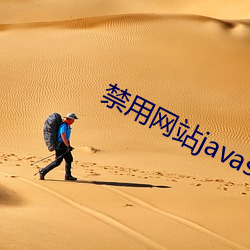 禁用网站javascript （举直错枉）