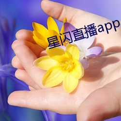 星闪直播app （背恩弃义）