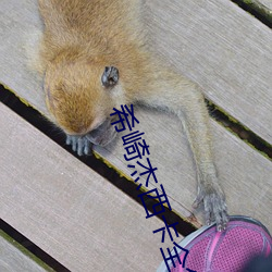希崎杰西卡(kǎ)全集