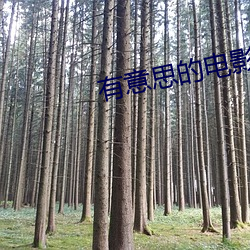 有意(意)思的(的)电影