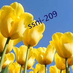 ssni-209