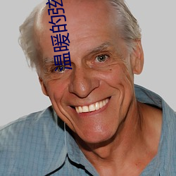 溫暖的弦小說
