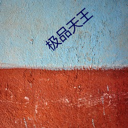 极品天王 （鞋弓襪小）