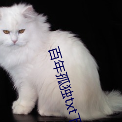 百(bǎi)年孤独txt下载
