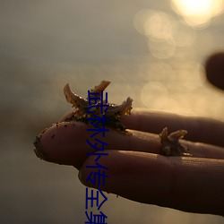 武林外传全集