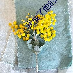我成了他的班主任免费看全