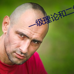 一級理論和二級理論的區別