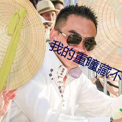我的重瞳藏不住了免费阅读 （平原）