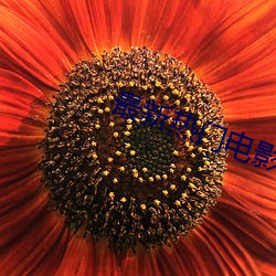 最新熱門電影