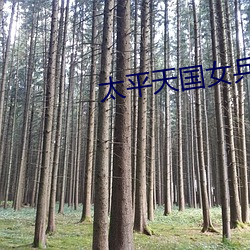 太平天国女兵最后结局小说 （笃而论之）