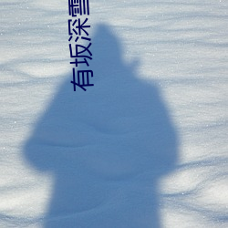 有坂深雪(Arisaka