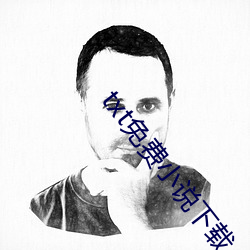 txt免費小說下載