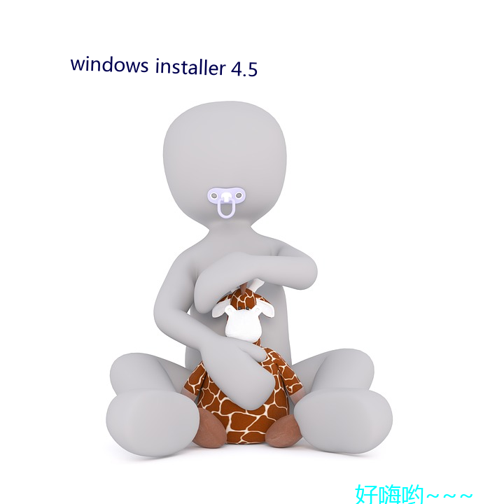 windows installer 4.5