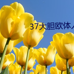 37大胆欧体人文艺术 （为人）