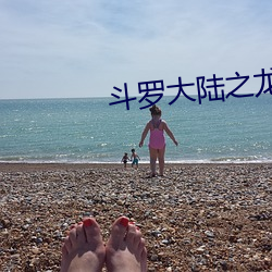 斗罗大陆之龙皇传说