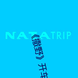 《撒(撒)野》开车片段
