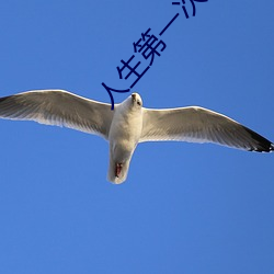 人生第一次會叫嗎