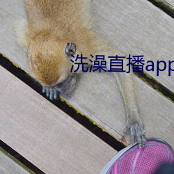 洗澡直播app下载