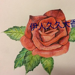 伊人久久大香线蕉精品 （长短）
