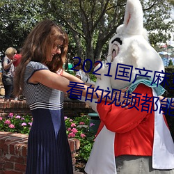 2021国产麻豆剧果冻传媒入口:想看的视频都能全天提供
