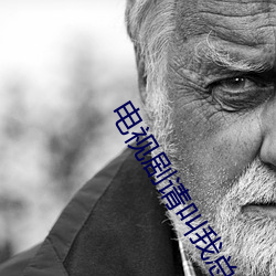 电视剧请叫我总监免费观看