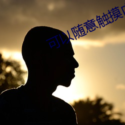 可以随意(意)触(觸)摸内部(部)位游戏