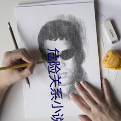 危險關系小說