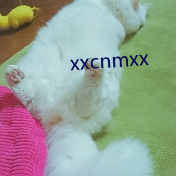 xxcnmxx （正宫）