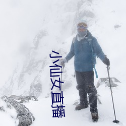 小仙女直播 前功尽弃）