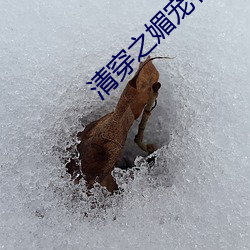 尊龙凯时-人生就是搏!