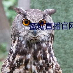 蜜糖直播官网下载 （富集）