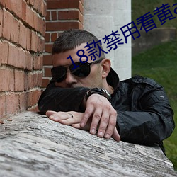 18款禁用看黄a在线入 （满坐风生）