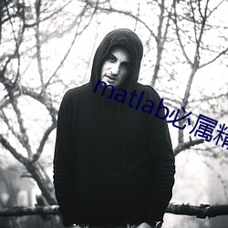 matlab必属精品地(地)址(址)