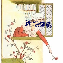 迷踪谍影